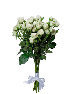 Белые кустовые розы (от 9 до 101 шт.)