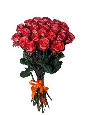 картинка, фото Охапка оранжевых Эквадорских роз от MarketFlowers.ru