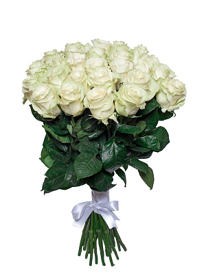 Охапка белых Эквадорских роз 
