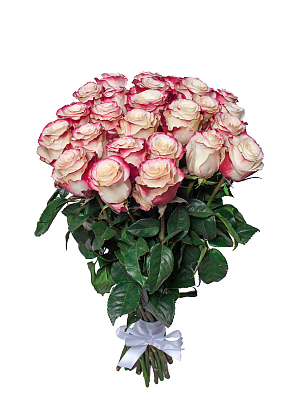 Охапка Эквадорских роз Свитнесс (от 9 ло 101 шт.)